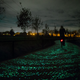 Illustration for article titled The World's First Glow-in-the-Dark Bike Path Glimmers a Ghostly Green